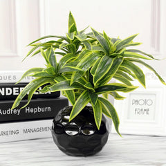 Palm Tree with 3 Heads - 36cm