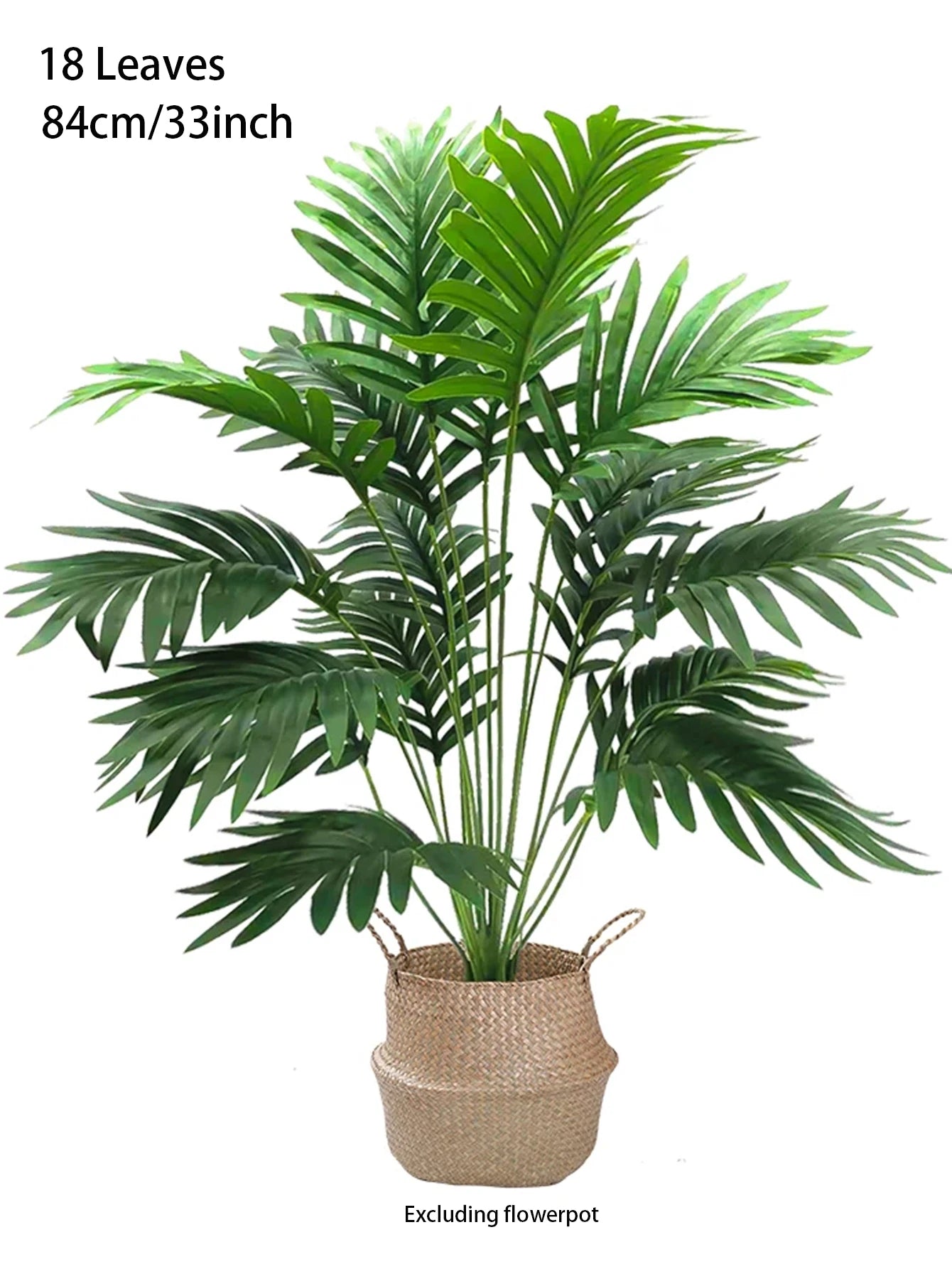 Palm Tree with Turtle Back Leaves - 70–120cm