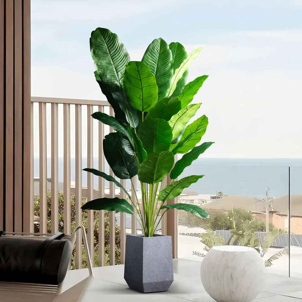 Bird of Paradise Tree Banana Leaf Plant 85–115cm