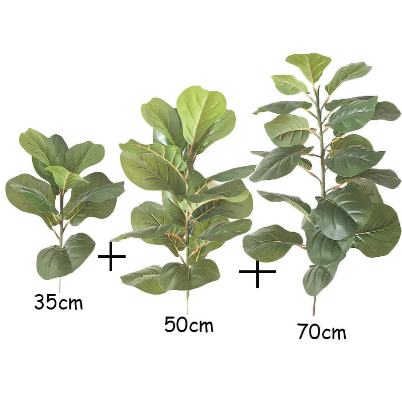 Ficus Lyrata Tree - 150cm