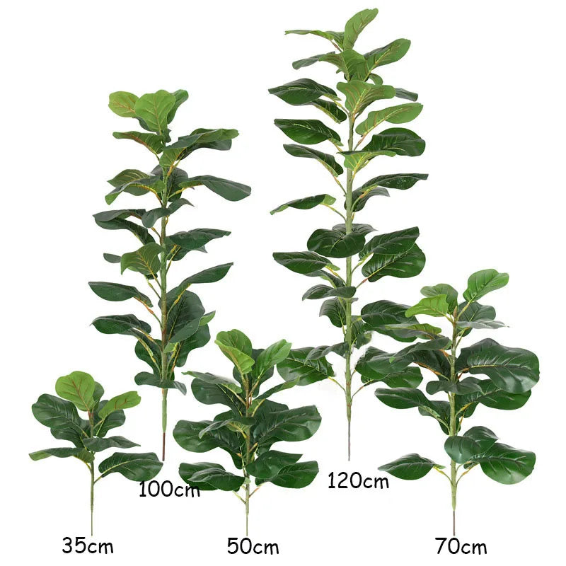 Ficus Lyrata Tree - 150cm