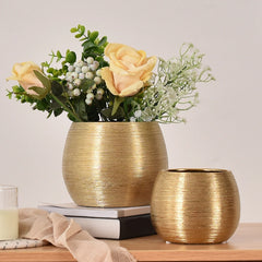 Elegant Multi-Purpose Vase for Home & Office