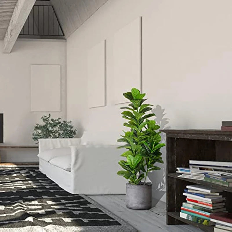 Ficus Banyan Tree - 120cm