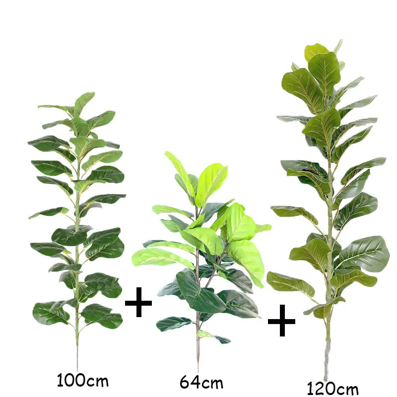 Ficus Lyrata Tree - 150cm