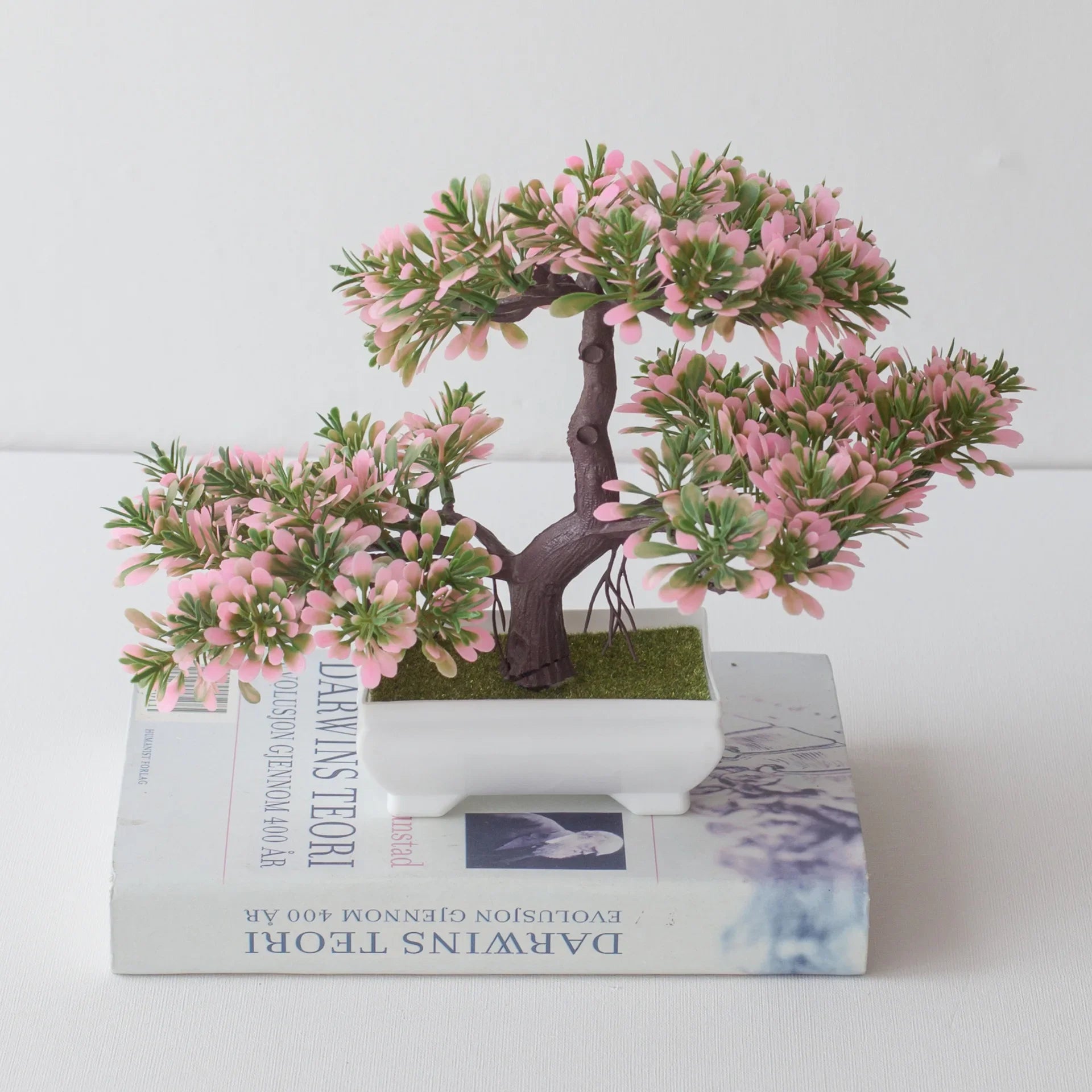 Bonsai Tree in Pot - 25cm