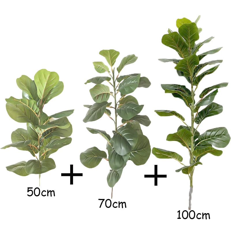 Ficus Lyrata Tree - 150cm