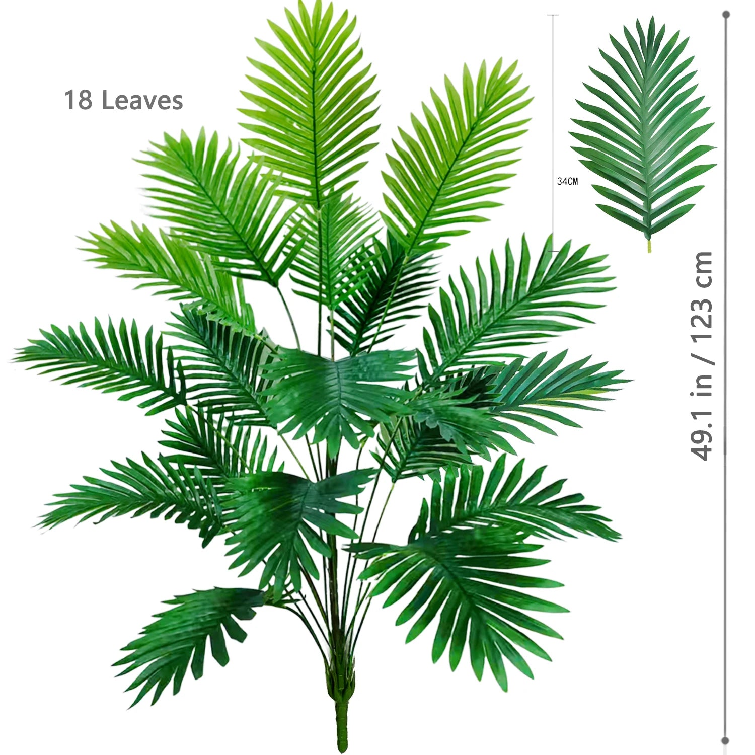 Palm Tree Branch - 52–125cm