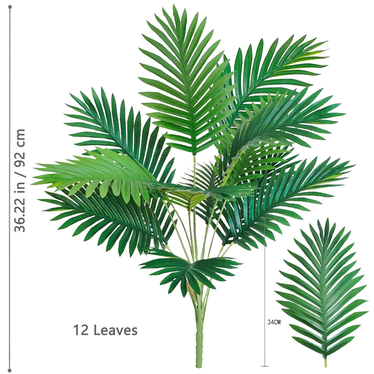 Palm Tree Branch - 52–125cm