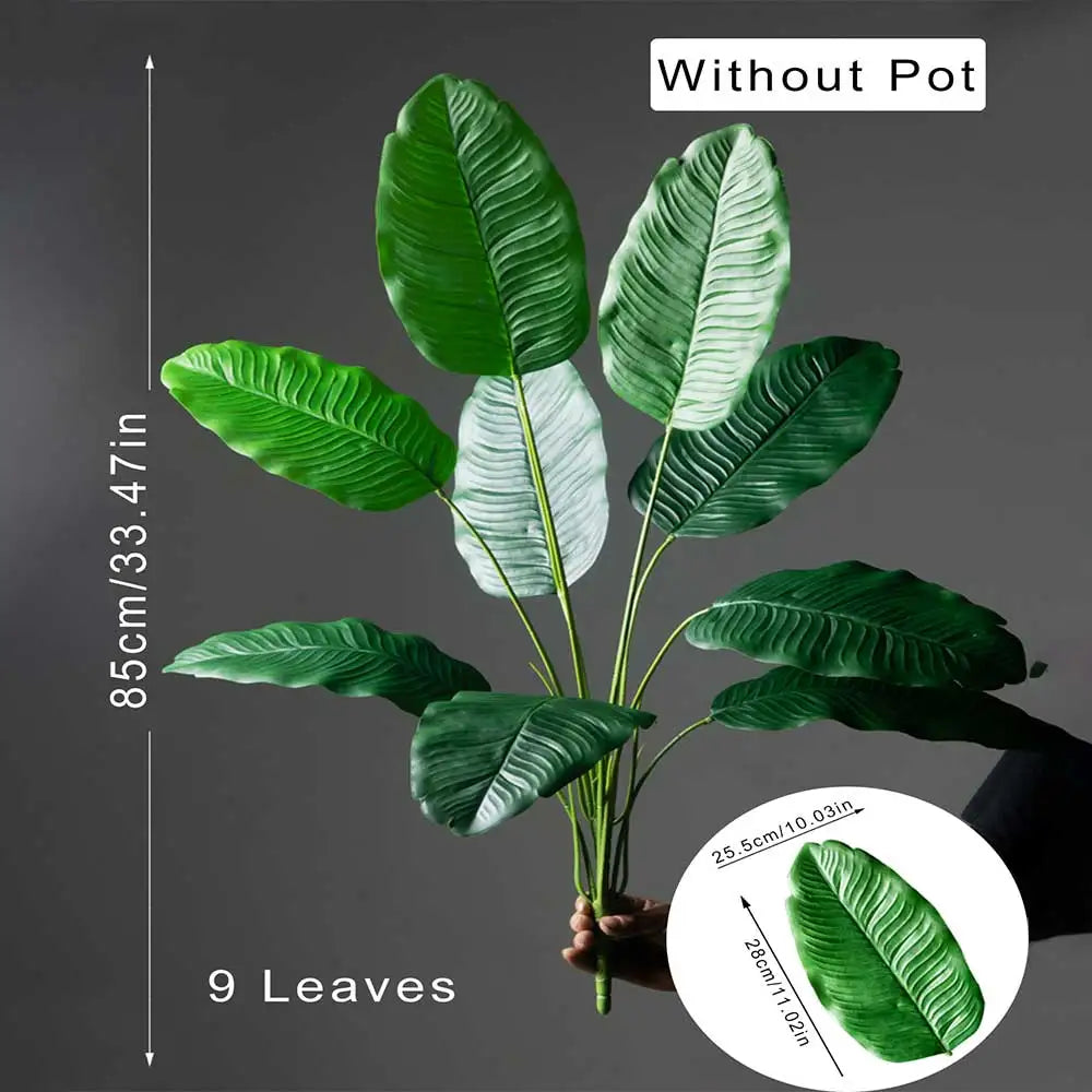 Bird of Paradise Tree Banana Leaf Plant 85–115cm