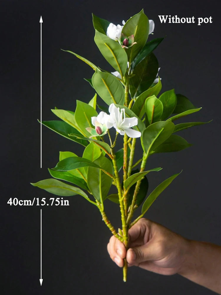 Azalea Plant – 21–40cm
