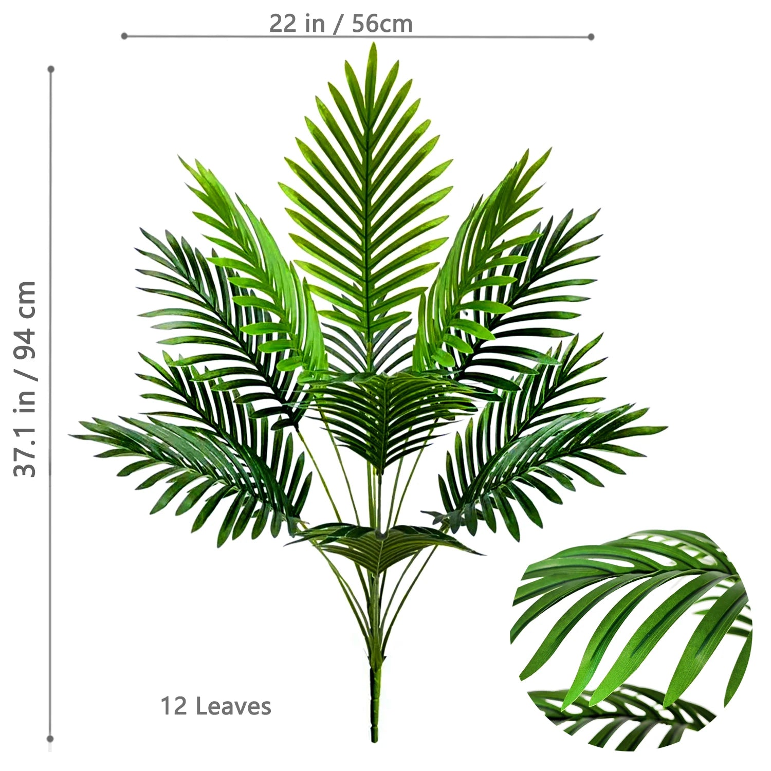 Palm Tree Branch - 52–125cm