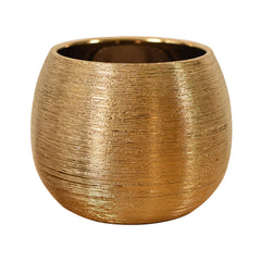 Elegant Multi-Purpose Vase for Home & Office