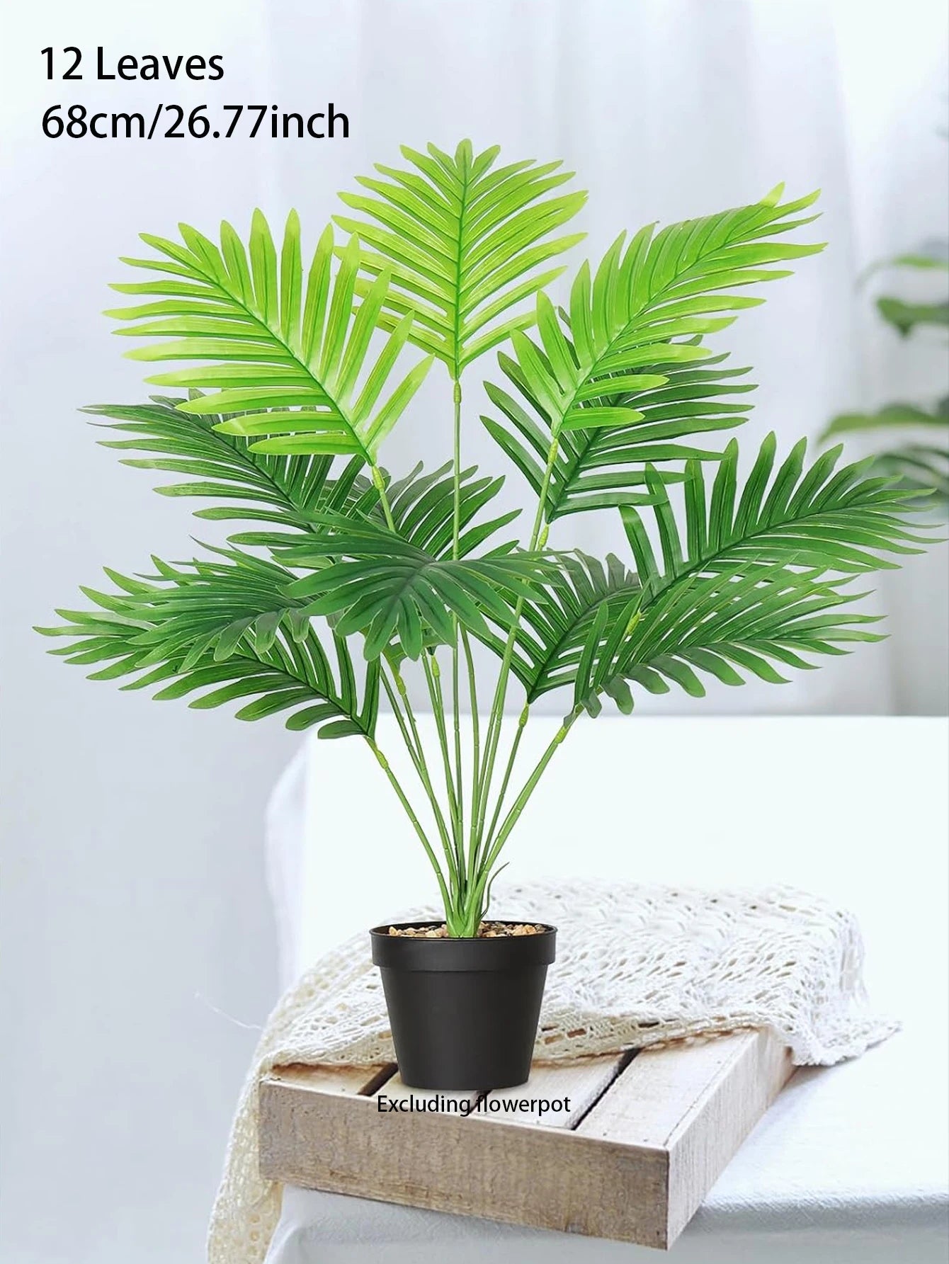Palm Tree with Turtle Back Leaves - 70–120cm