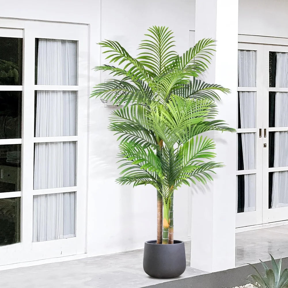 Triple Golden Cane Palm – 180 cm