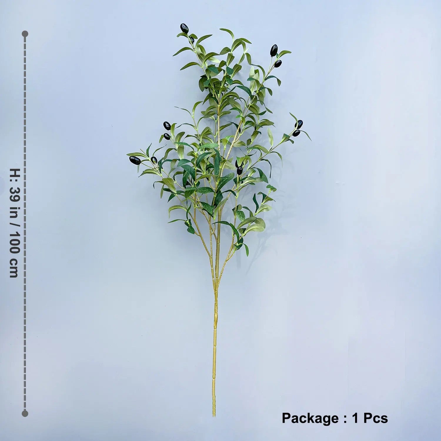 Olive Plant Tree with High Branches - 65–200cm