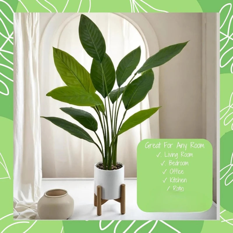 Bird of Paradise Plant – 91 cm