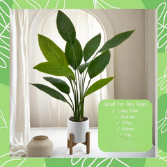 Bird of Paradise Plant – 91 cm