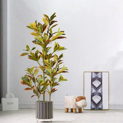 Ficus Tree with Autumn Leaves - 120cm