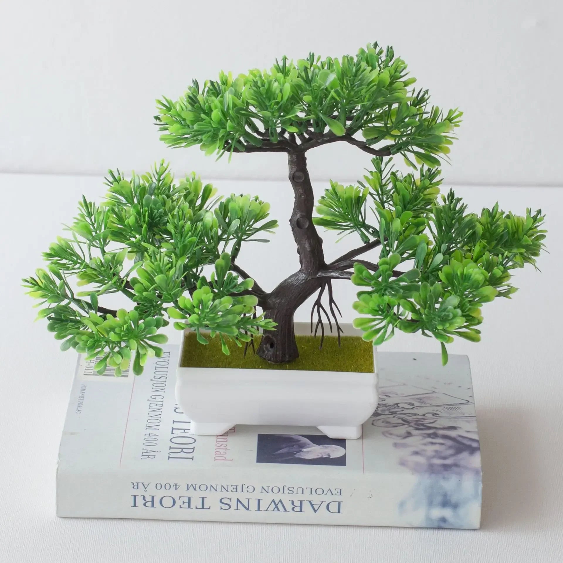 Bonsai Tree in Pot - 25cm
