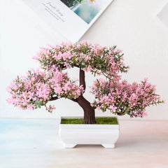 Bonsai Tree in Pot - 25cm