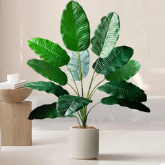 Palm Tree with 24 Leaves