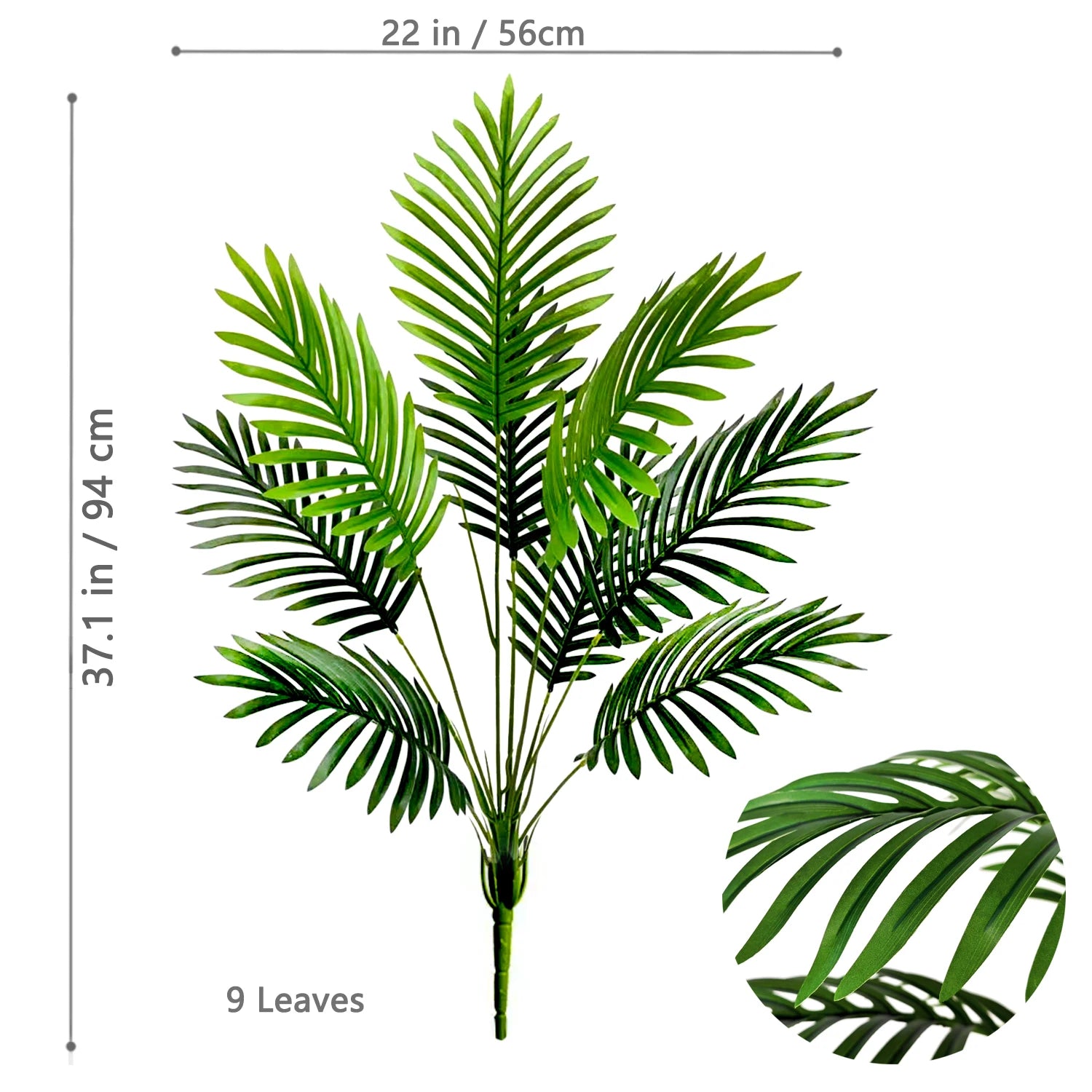 Palm Tree Branch - 52–125cm