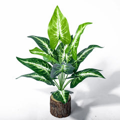 Monstera Tree with 12 Forks - 43cm