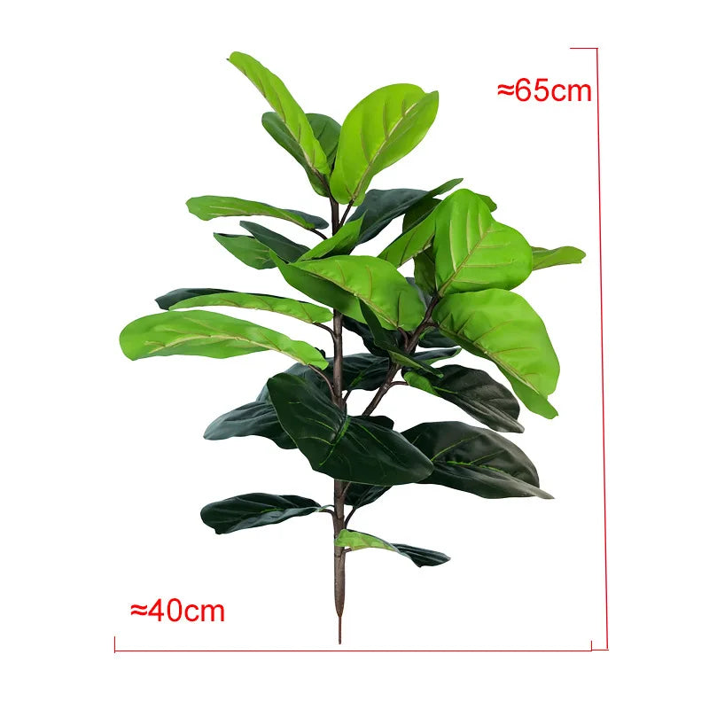 Ficus Lyrata Tree - 150cm
