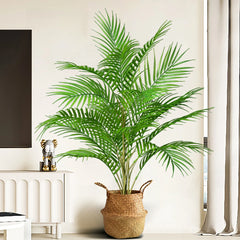 Palm Tree – 50 to 88 cm