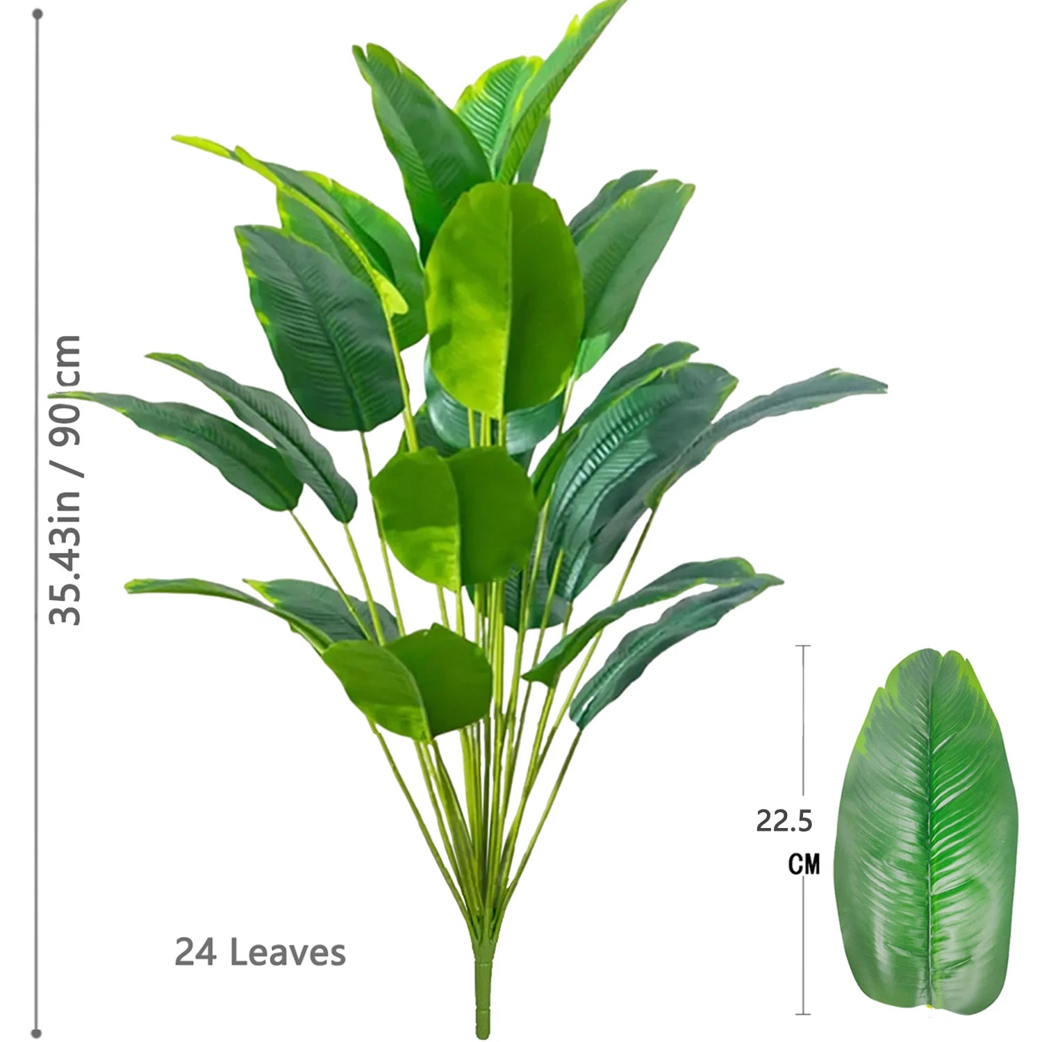 Palm Tree with 24 Leaves