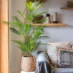 Tropical Monstera Palm Tree 125cm