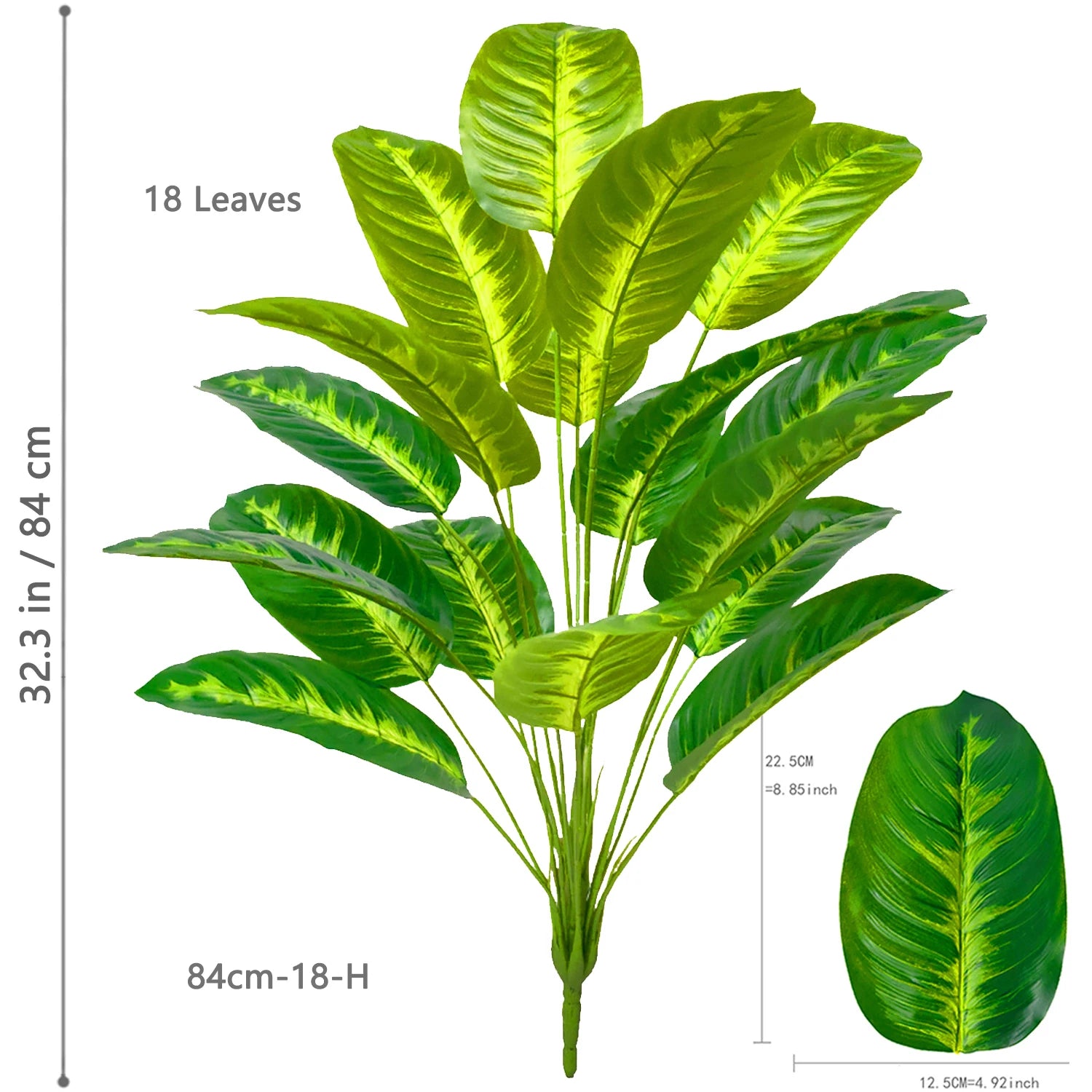 Palm Tree with 24 Leaves