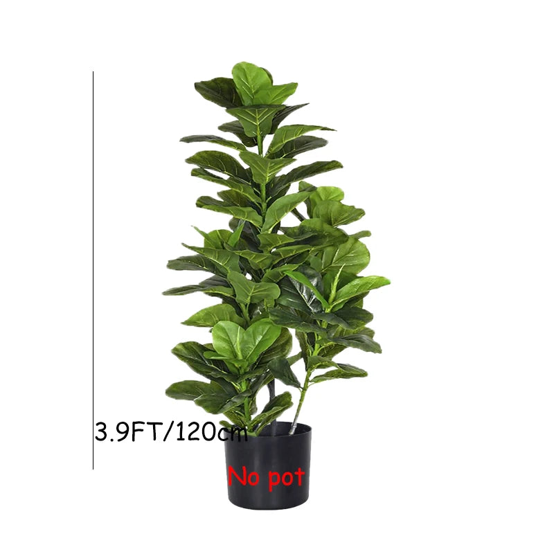 Ficus Banyan Tree - 120cm