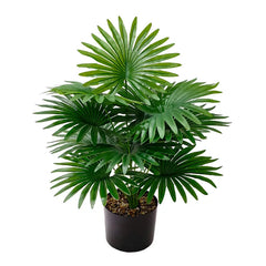 Artificial Palm Tree Bonsai - 60-86cm