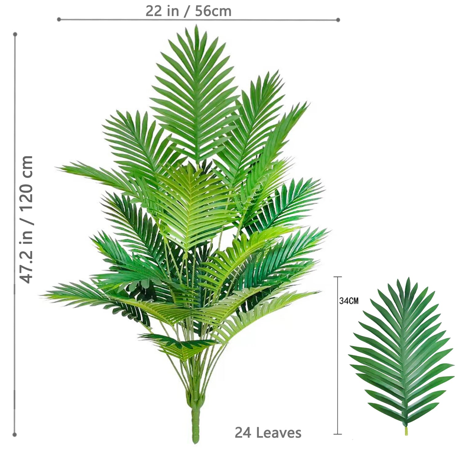 Palm Tree Branch - 52–125cm