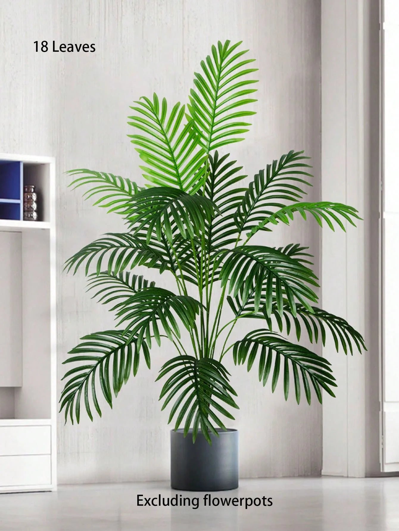 Palm Tree with Turtle Back Leaves - 70–120cm