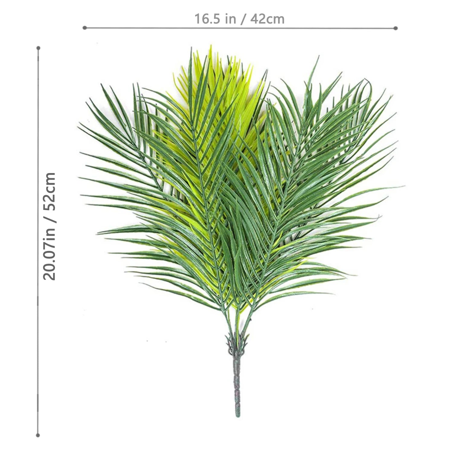 Palm Tree Branch - 52–125cm