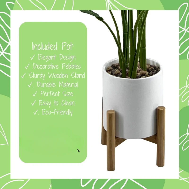 Bird of Paradise Plant – 91 cm