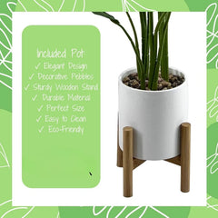 Bird of Paradise Plant – 91 cm