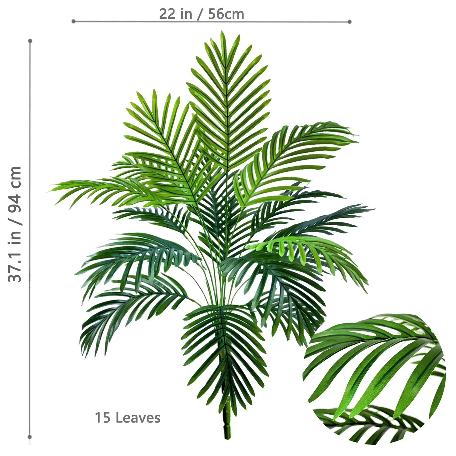 Palm Tree Branch - 52–125cm