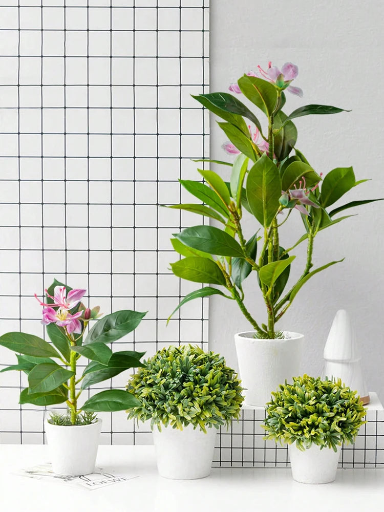 Azalea Plant – 21–40cm