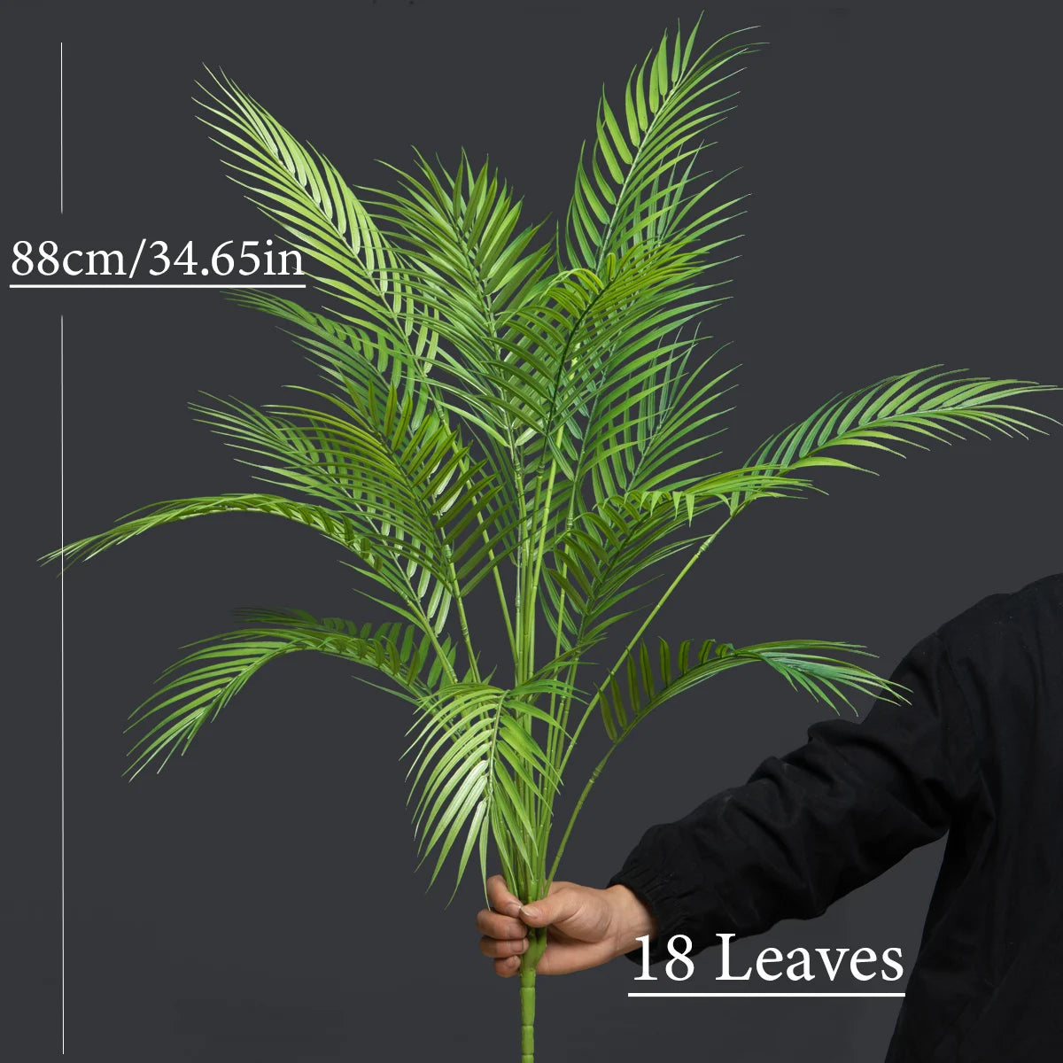 Palm Tree – 50 to 88 cm