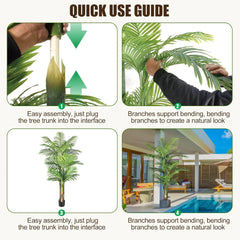 Triple Golden Cane Palm – 180 cm