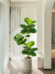 Artificial Fiddle Leaf Fig Tree 70–135 cm