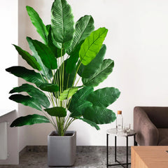 Palm Tree with 24 Leaves