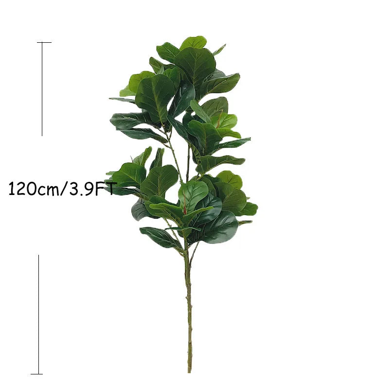 Ficus Banyan Tree - 120cm