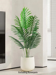 Palm Tree with Turtle Back Leaves - 70–120cm