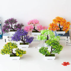 Bonsai Tree in Pot - 25cm