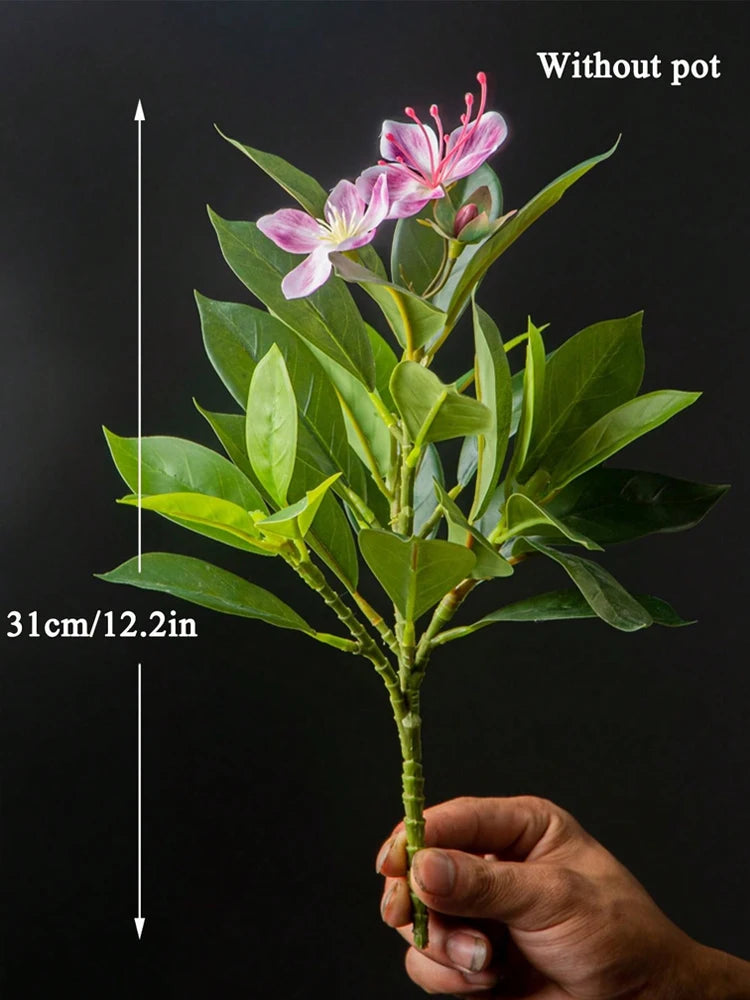 Azalea Plant – 21–40cm