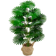 Tung Palm Tree Nordic Style 120cm